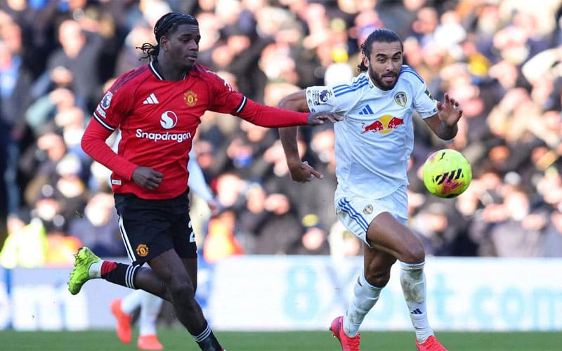 คัลเวิร์ต-ลูวิน